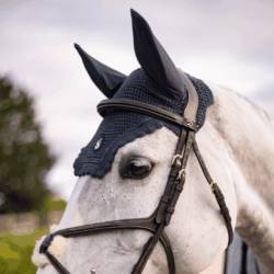 Samshield – Bonnet Strass Flyshield – Anthracite