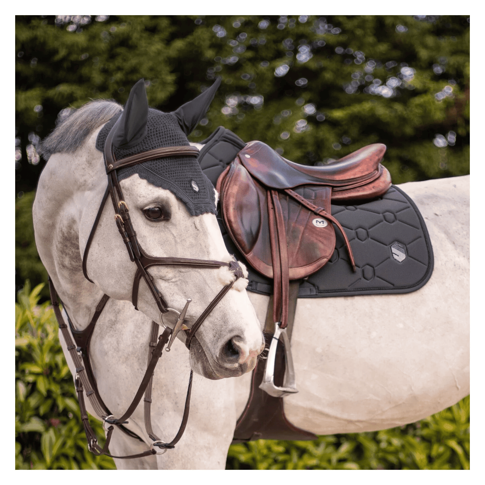 Samshield - Tapis jump Swarovski - Anthracite