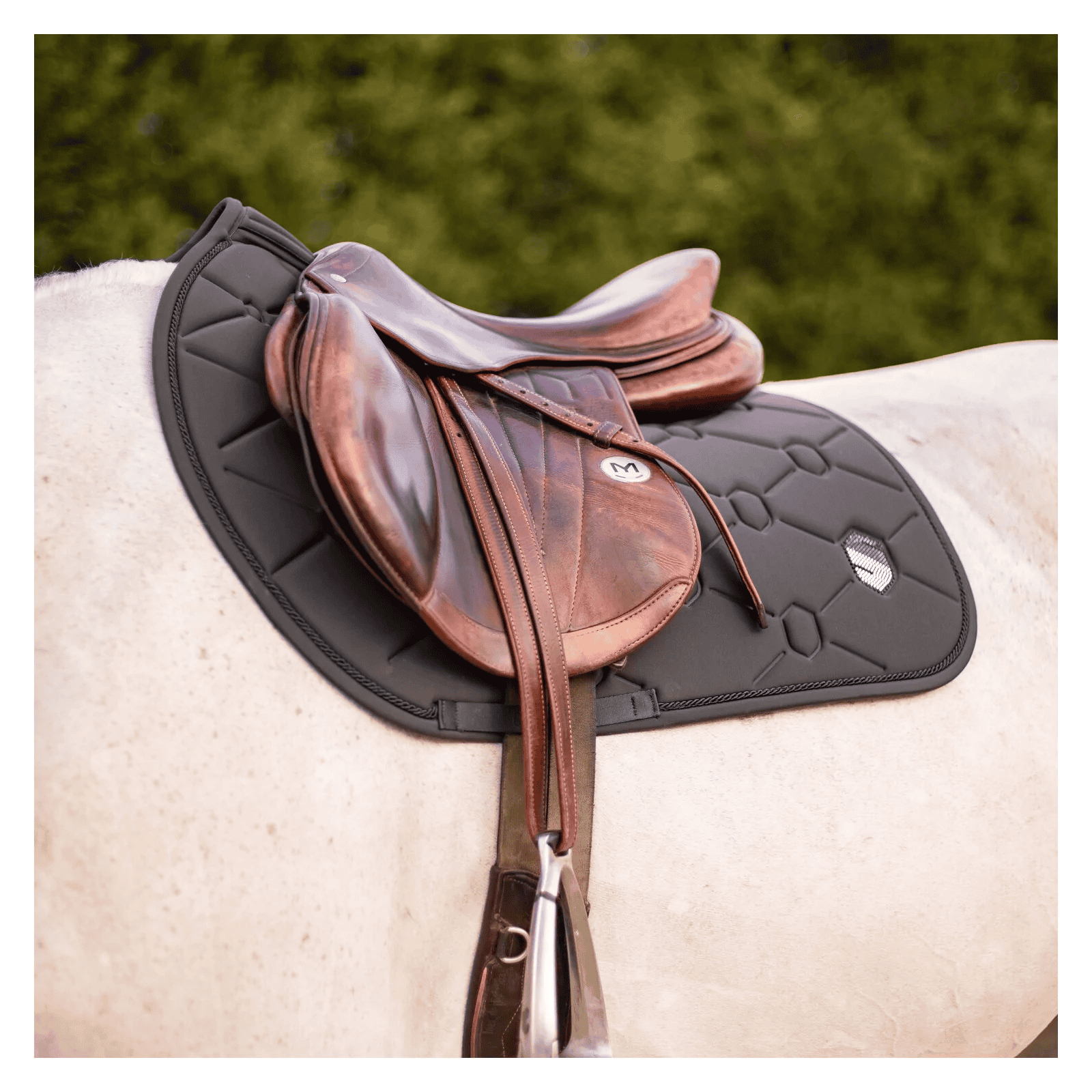 samshield-spineshield