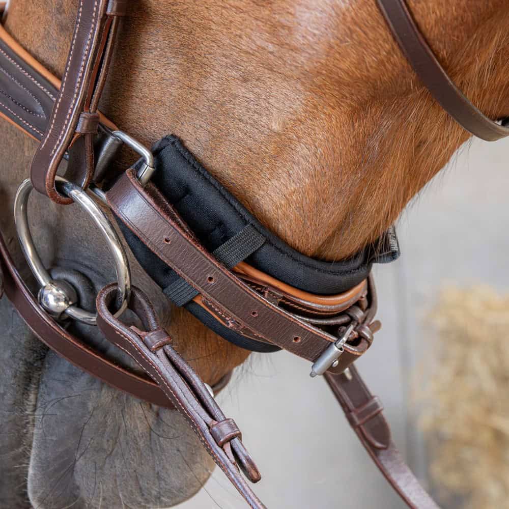 Harry’s Horse – Protège muserolle gourmette.