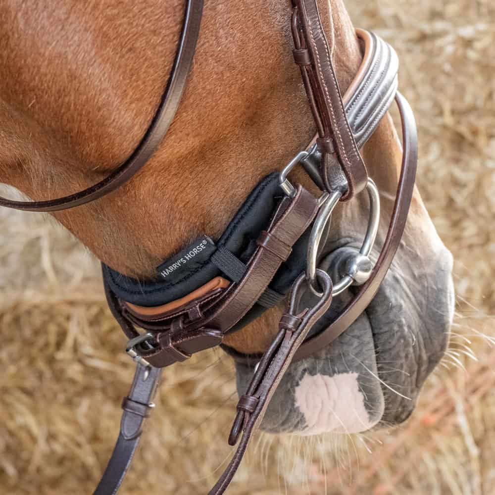 Harry’s Horse – Protège muserolle gourmette.