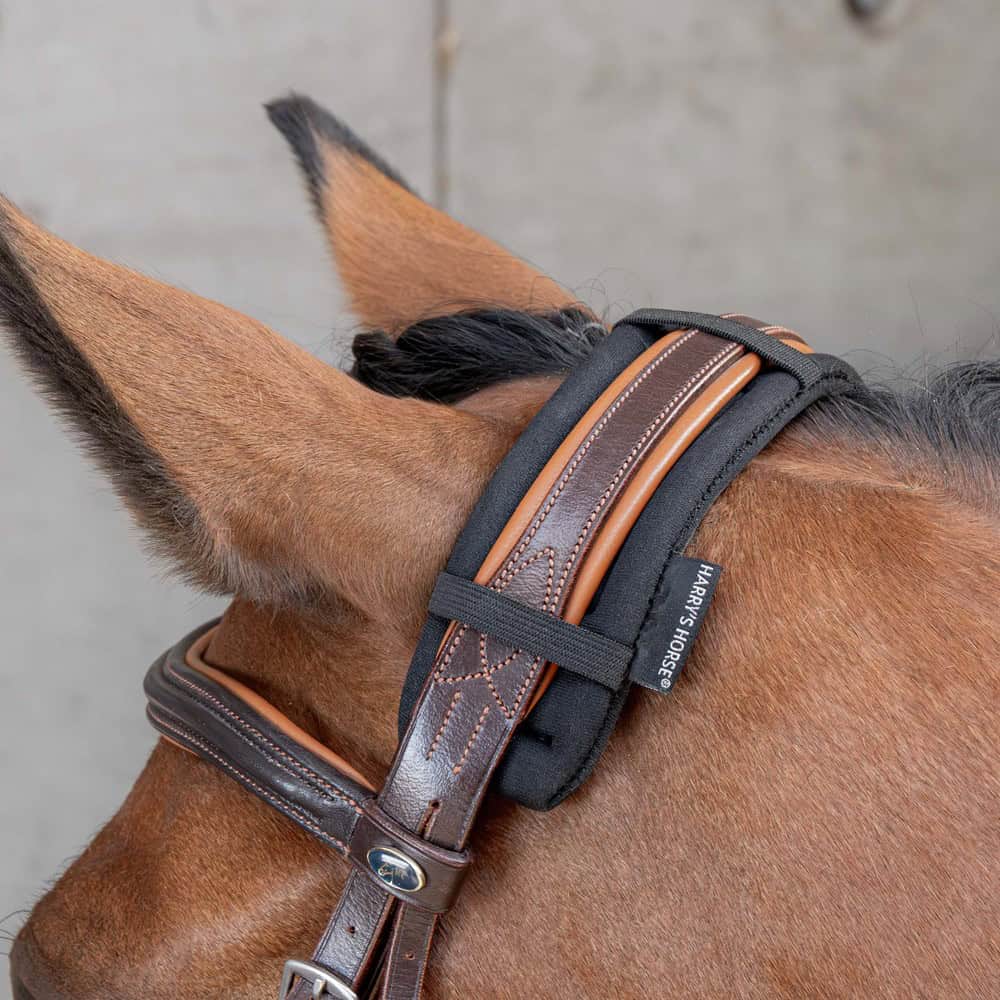 Protège nuque Harry’s Horse