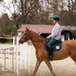 Tapis de selle GEM Touc Touc Obstacle Dark Sea Green pour cheval