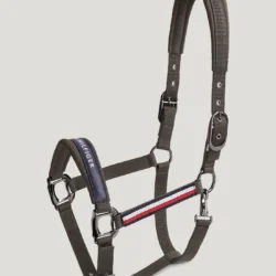 Licol Tommy Hilfiger Tale Ash SS26