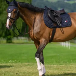 Tommy Hilfiger Tapis de jumping Columbia Desert Sky SS26