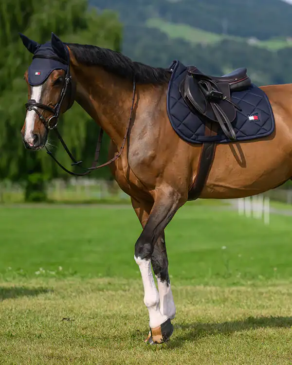 TH17HSAP160-004-622.0_38ca6415-be4e-4e71-9f59-98b059d66594 (1) Tommy Hilfiger Tapis de jumping Columbia Desert Sky SS26