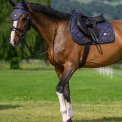 Tommy Hilfiger Tapis de jumping Columbia Faded Indigo SS26 Full.