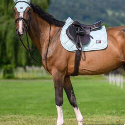 Tommy Hilfiger Tapis de jumping Columbia Belair Mint SS26.