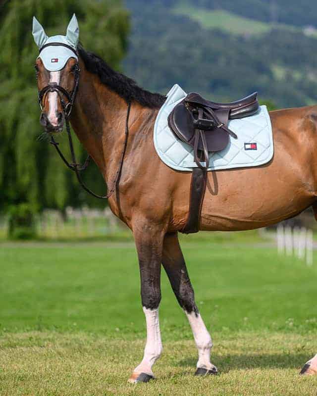 TH17HSAP160-073_01 (1) Tommy Hilfiger Tapis de jumping Columbia Belair Mint SS26.