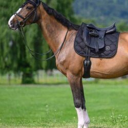 Tommy Hilfiger Tapis de dressage Emory Desert Sky SS26 Full.