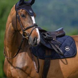 Tommy Hilfiger Tapis de jumping Emory Desert Sky SS26.