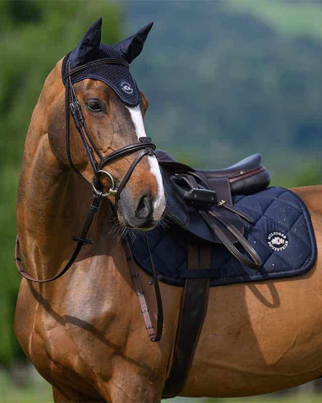 tommy-hilfiger-tapis-jumping-emory-desert-sky-ss26.jpg. Tommy Hilfiger Tapis de jumping Emory Desert Sky SS26.