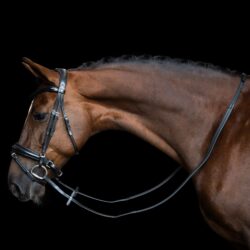 Imperial Riding rênes IRH en caoutchouc avec renfort en nylon