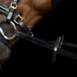 Imperial Riding rênes IRH en caoutchouc à picots