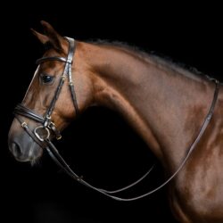 Imperial Riding rênes IRH en caoutchouc à picots