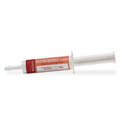 Nutri'Boost Flash RAVENE 30 ml seringue énergétique pour cheval