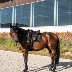 Tapis Jumping TEN GEM noir logo léopard