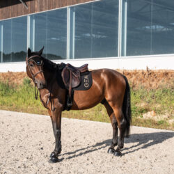 Tapis Jumping TEN GEM noir logo léopard