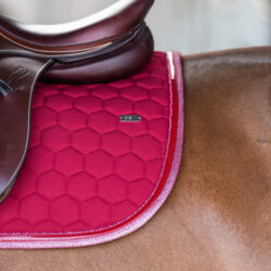 Tapis Jumping Atlas GEM Cerise