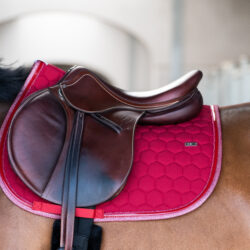 Tapis Jumping Atlas GEM Cerise