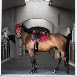 Tapis Jumping Atlas GEM Cerise