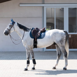 Tapis Jumping TEN GEM Stormy bleu orage