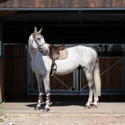 Tapis Jumping TEN GEM Latte taupe
