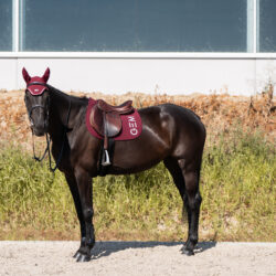 Tapis Jumping TEN GEM Bordeaux FW26